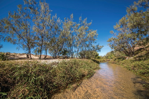 Freshwater Creek Track, Byfield National Park - Restaurant Gold Coast 0