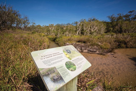 Freshwater Creek Track, Byfield National Park - Restaurant Gold Coast 1