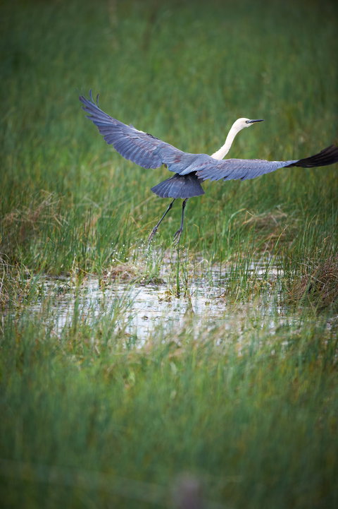 Germein Reserve - Restaurant Gold Coast 0