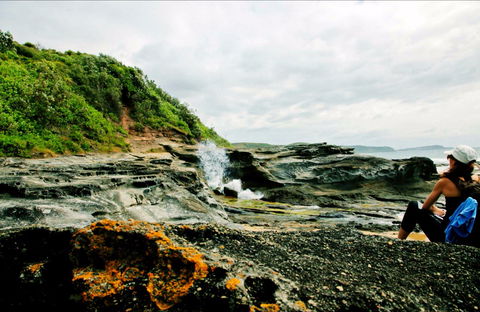 Glenrock State Conservation Area - Restaurant Gold Coast 0