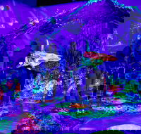 Glowing Rooms 3D Mini Golf - Restaurant Gold Coast