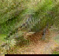 Grass Tree Circuit - Restaurant Gold Coast