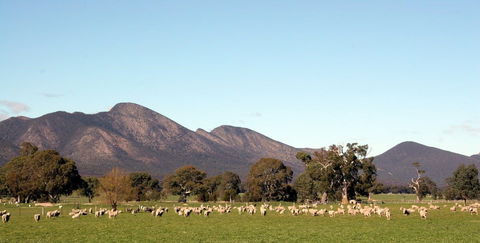Grampians - Restaurant Gold Coast 0