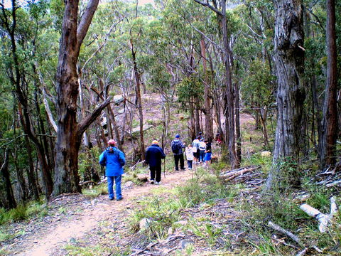 Greater Blue Mountains Heritage Trail - Restaurant Gold Coast 2