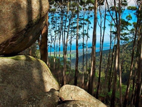 Gulaga Mountain Walk - Restaurant Gold Coast 0