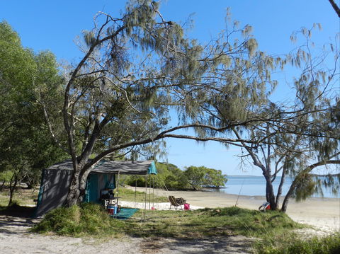 Inskip Peninsula Recreation Area - Restaurant Gold Coast 1