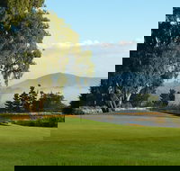 Kangaroo Tours at Gisborne Golf Club Inc - Restaurant Gold Coast