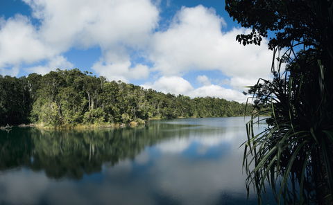 Lake Eacham, Crater Lakes National Park - Restaurant Gold Coast 0