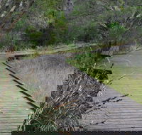 Leschenault Peninsula Conservation Park - Restaurant Gold Coast