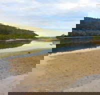 Mangrove Walk - Restaurant Gold Coast