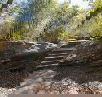 Mooney Mooney nature walk - Restaurant Gold Coast