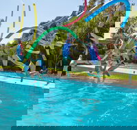 Oaklands War Memorial Swimming Pool - Restaurant Gold Coast