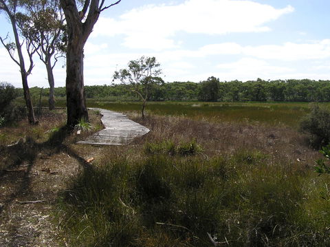 Penola Conservation Park - Restaurant Gold Coast 0