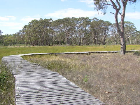 Penola Conservation Park - Restaurant Gold Coast 1