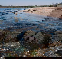 Point Cook Marine Sanctuary - Restaurant Gold Coast
