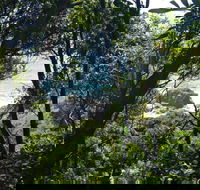 Rainforest Walking Track Hat Head National Park - Restaurant Gold Coast