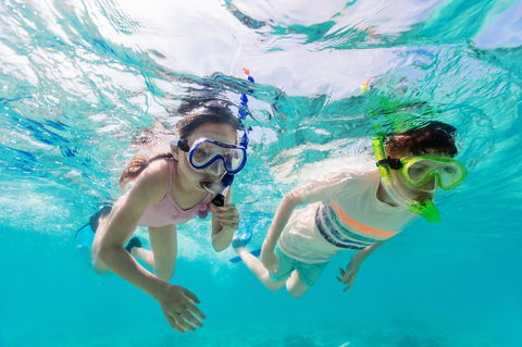 Snorkel Hat Head Creek - Restaurant Gold Coast 0