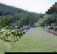 Timbertops - Horse Riding - Restaurant Gold Coast
