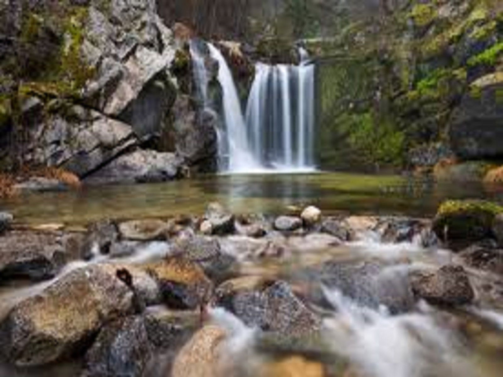 Upper Crystal Creek NSW Restaurant Gold Coast