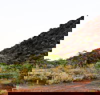 Whyalla Conservation Park - Restaurant Gold Coast