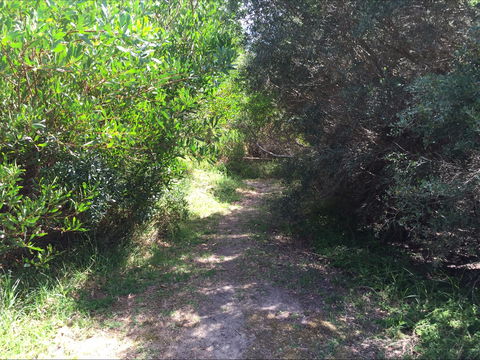 Bluff Track Fitness Trail - Restaurant Gold Coast 2