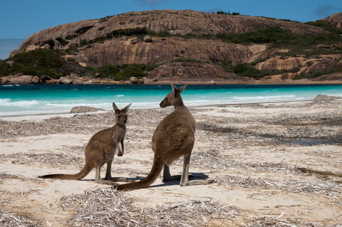 Cape Le Grand National Park - Restaurant Gold Coast 0