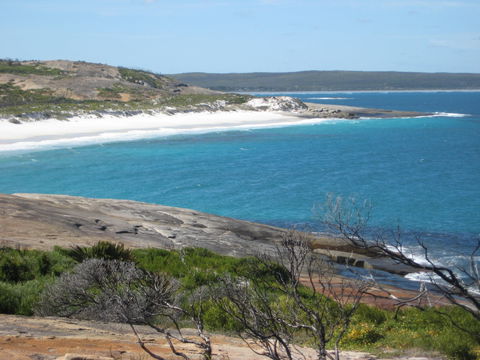 Cape Arid National Park - Restaurant Gold Coast 1