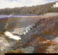 Collie - Restaurant Gold Coast