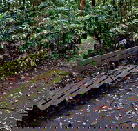 Coombadjha Nature Stroll - Restaurant Gold Coast