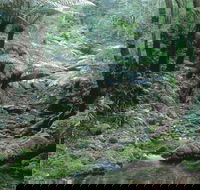 Corn Trail - Restaurant Gold Coast