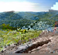 Dubbo Gully Loop Trail - Restaurant Gold Coast
