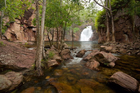 Florence Falls - Restaurant Gold Coast 0