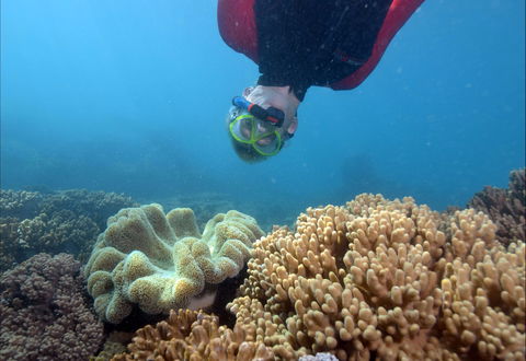 Geoffrey Bay Snorkel Trail - Restaurant Gold Coast 0