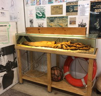 George The Giant Squid Display Wallaroo - Restaurant Gold Coast