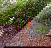 Gibraltar-Washpool World Heritage Walk - Restaurant Gold Coast