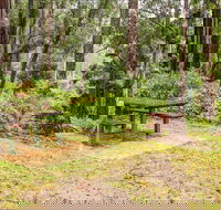 Goodenia Rainforest picnic area - Restaurant Gold Coast