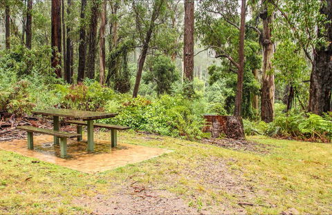 Goodenia Rainforest Picnic Area - Restaurant Gold Coast 0