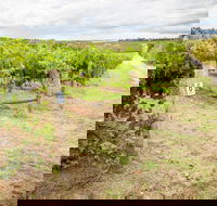 Grove Estate Wines - Restaurant Gold Coast