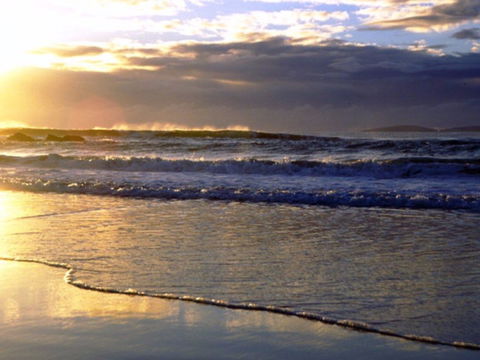 Handkerchief Beach Picnic Area - Restaurant Gold Coast 0