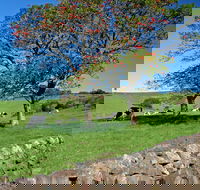 Historic Dry Stone Walls Kiama - Restaurant Gold Coast