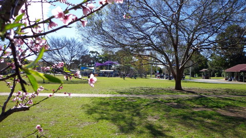 Koshigaya Park - Restaurant Gold Coast 0