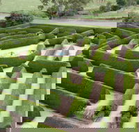 Mintaro Maze - Restaurant Gold Coast