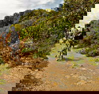 Mountain Biking Trails - Restaurant Gold Coast
