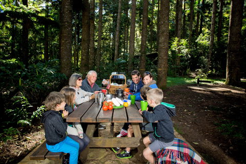 Mount Yarrahapinni Lookout - Restaurant Gold Coast 1