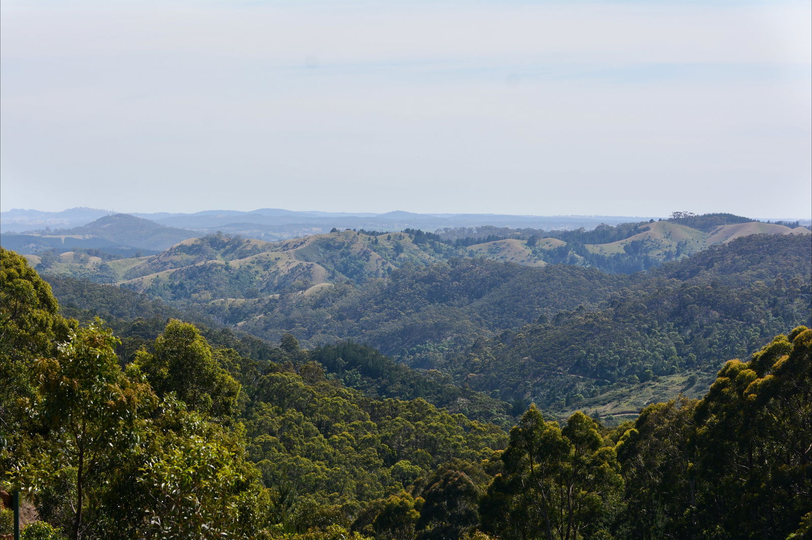 Mount Crawford SA Restaurant Gold Coast