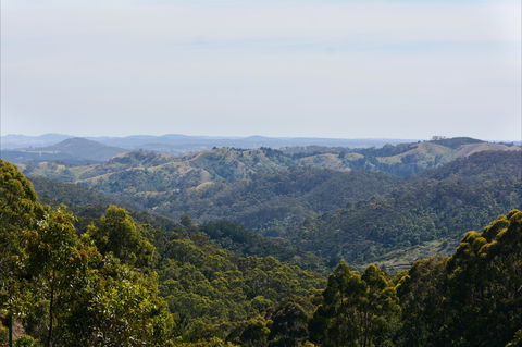 Mount Crawford Forest Reserve - Restaurant Gold Coast 0