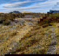 Murramarang Aboriginal Area Walking Track - Restaurant Gold Coast