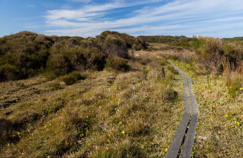 Murramarang Aboriginal Area Walking Track - Restaurant Gold Coast 0