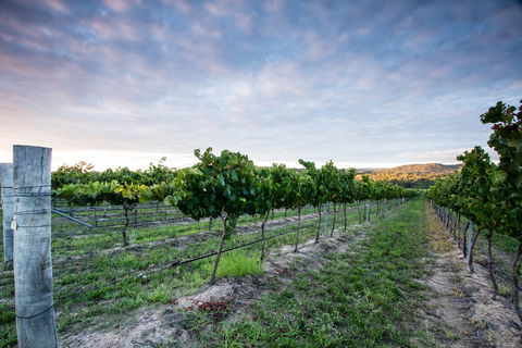 Nature And Foodies Trail - Restaurant Gold Coast 0