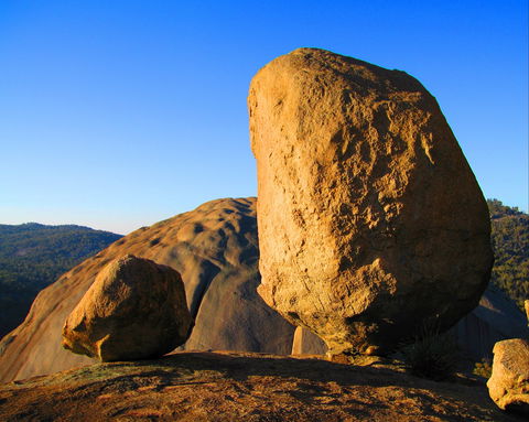 Nature And Foodies Trail - Restaurant Gold Coast 1